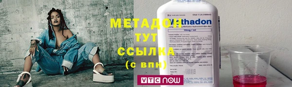 стаф Алзамай