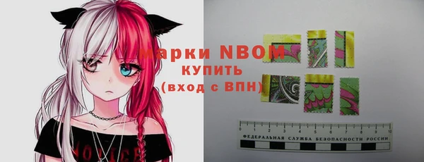 стаф Алзамай