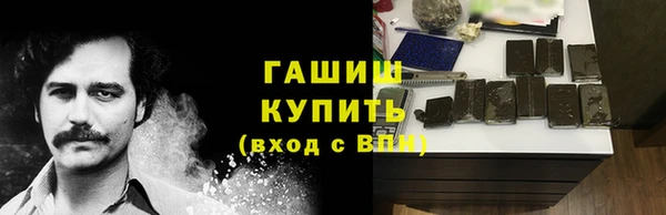 стаф Алзамай
