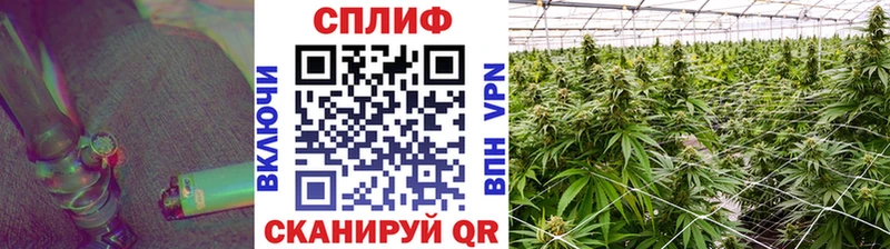 OMG ссылка  Струнино  МАРИХУАНА Amnesia 